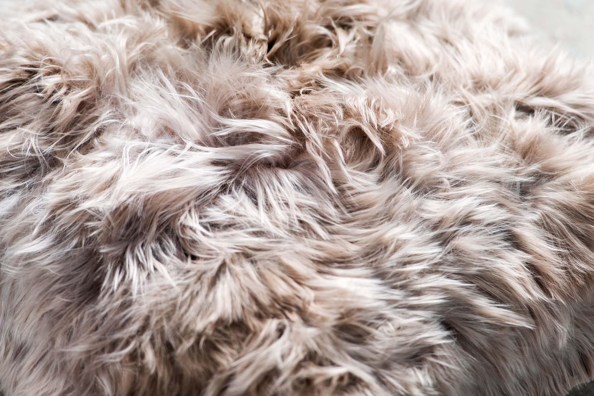 Unsere 8 beliebtesten Lammfelle im Jahr 2021 - Lammfellhaus.de