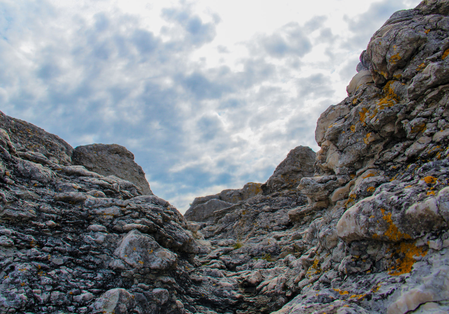 Gotland Lammfell im Fokus - Lammfellhaus.de