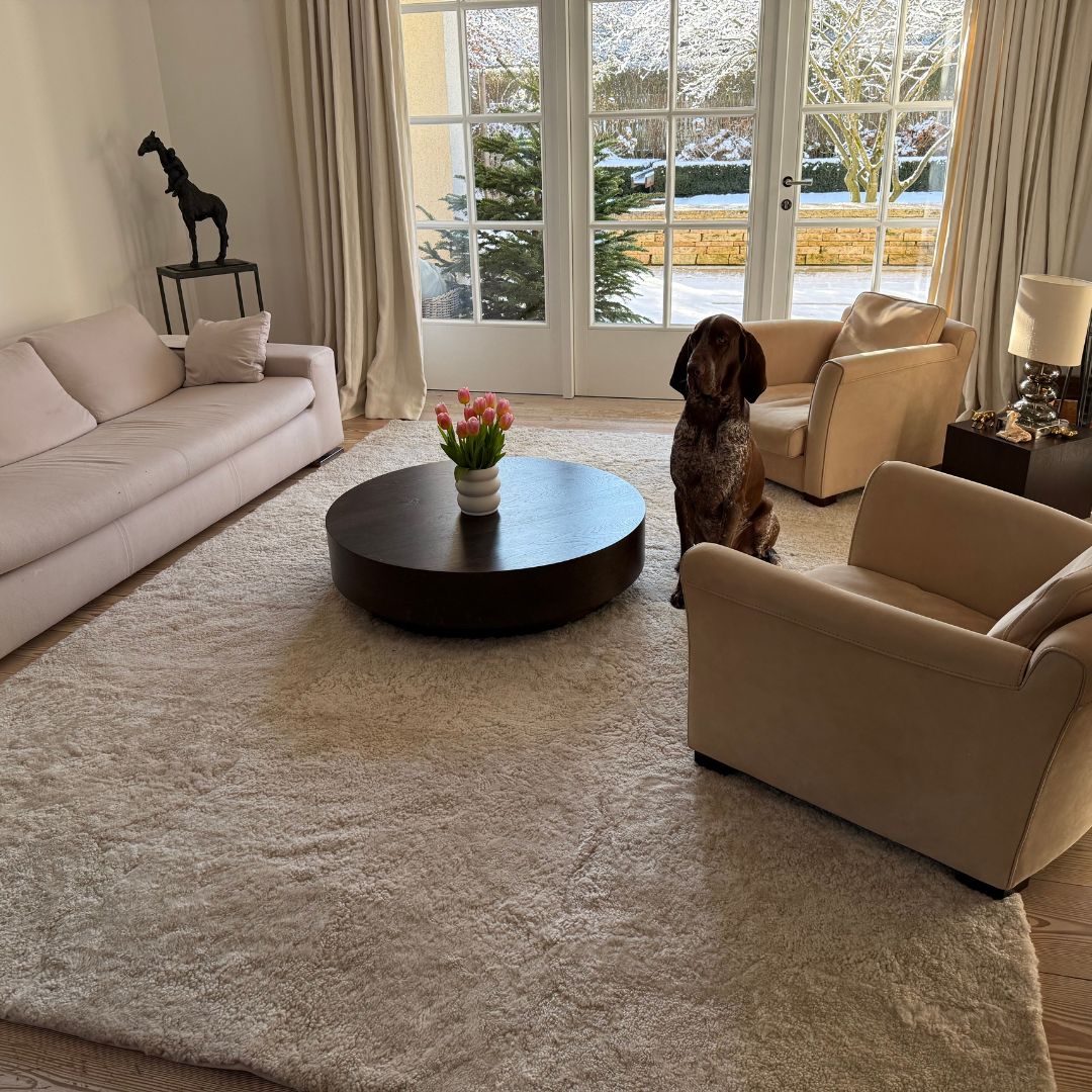 Großer beiger Lammfellteppich im klassischen Wohnzimmer mit Hund - heller Fellteppich als Wohlfühl-Wohnaccessoire