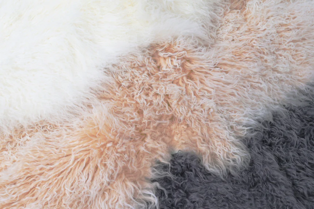 Tibet Lammfell Detailaufnahme in drei Pastelltönen - Ivory, Arctic Sunrise und Hellgrau - lockige Wollstruktur der Premium Lammfelle