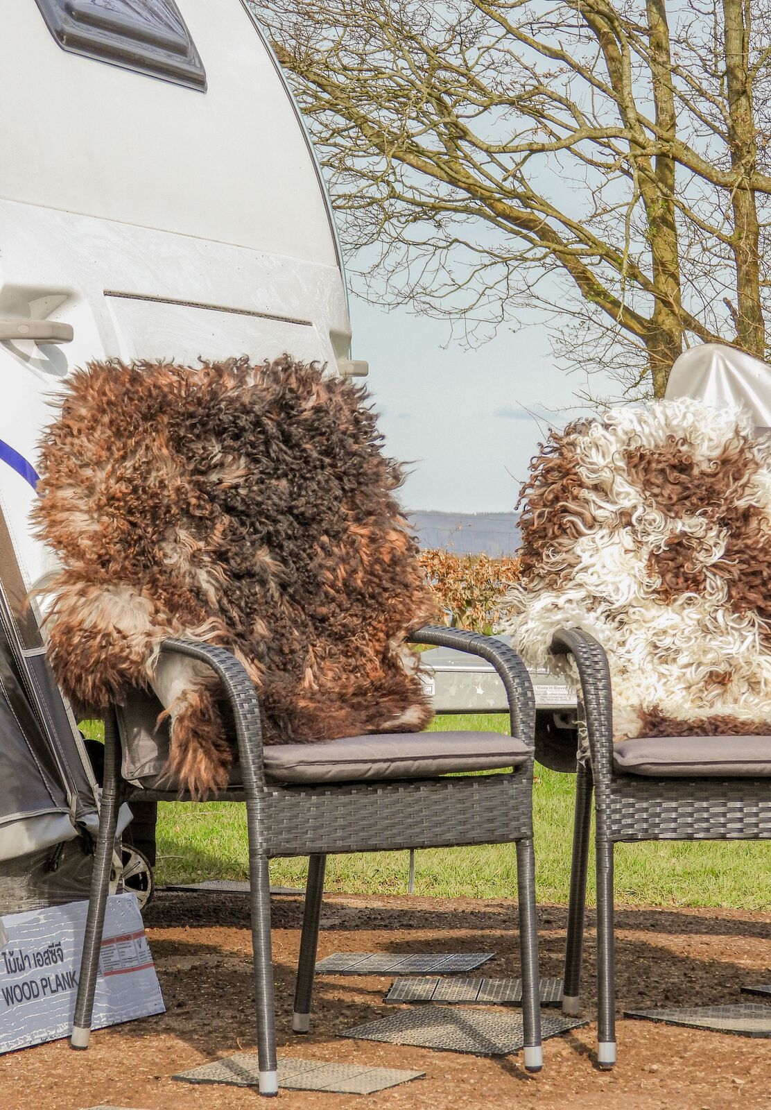 Lockige Schaffelle auf Campingstühle