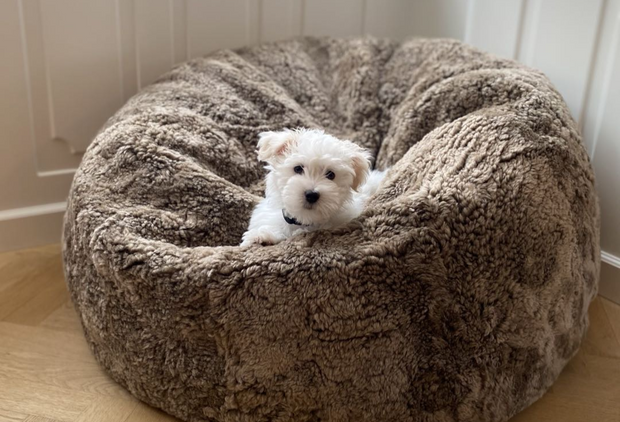 Sitzsack aus Kurzhaar Lammfell für Hunde