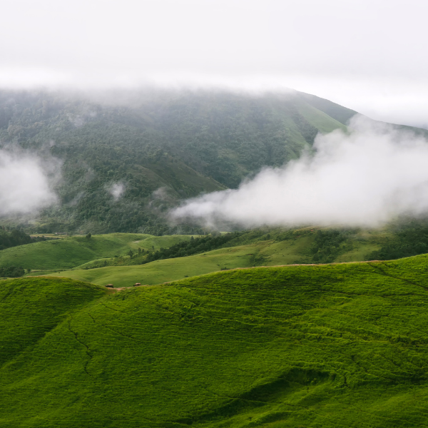 Grüne Hügel und Nebel