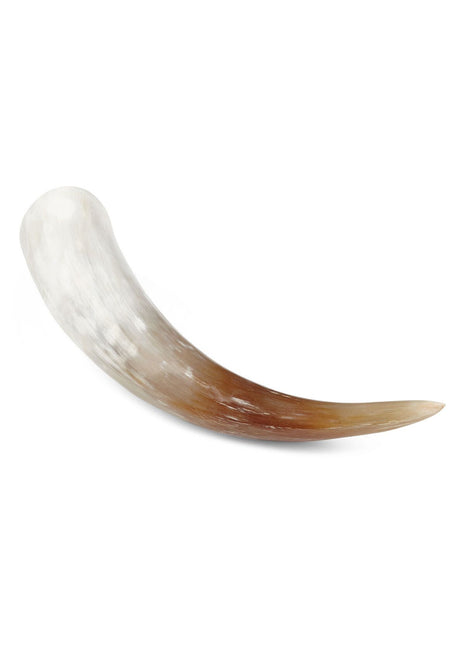 Watusikohorn | Sydafrikansk