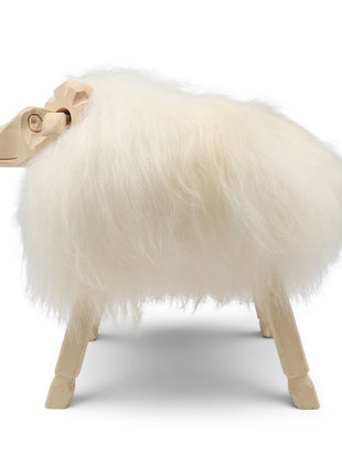 Alpinschaf Weißlich