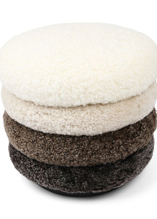 Matthew Pouf | Kurzhaar | Neuseeland Multifarbe