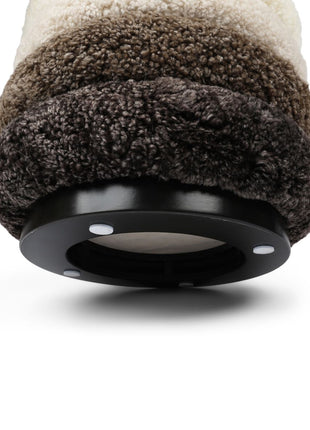 Matthew Pouf | Kurzhaar | Neuseeland Multifarbe