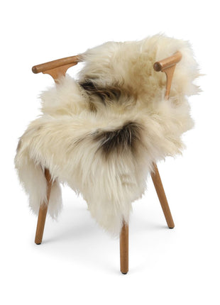 Schaffell | Langhaar | Island | Eingefärbt | 90 + cm