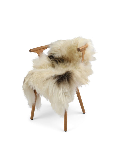 Schaffell | Langhaar | Island | Eingefärbt | 90 + cm