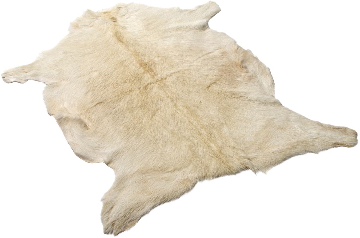 Ziegenfell Premium | Tibet | 90x60 cm Natürlich Weiß