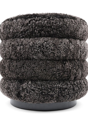 Matthew Pouf | Kurzhaar | Neuseeland Cappuccino