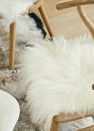 Stuhlkissen Premium | Langhaar | Island | 40x40 cm Weißlich