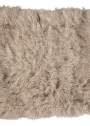 Lydia Schal | Kaninchen