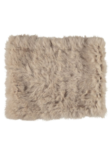 Lydia Schal | Kaninchen