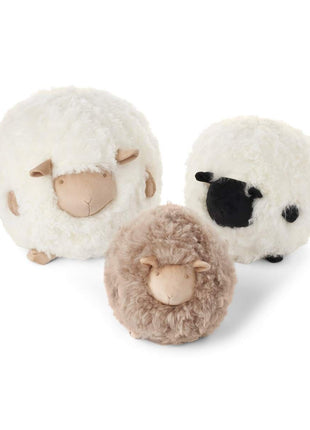 Cute Sheep | Kurzhaar | Neuseeland Beige/Weiß