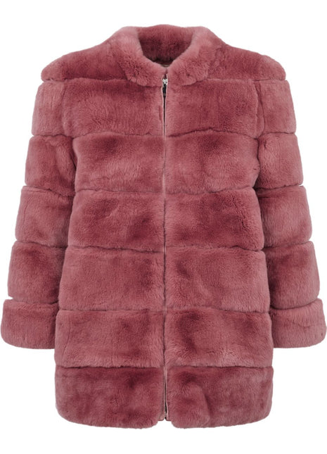 Ava Jacke | Rex Kaninchen