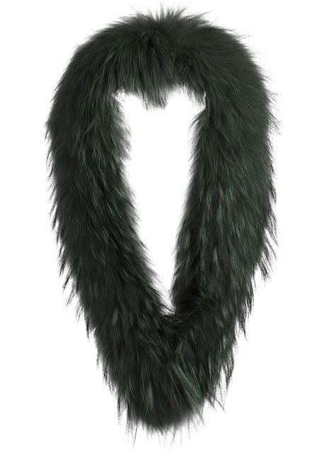 Klara Kragen | Waschbär