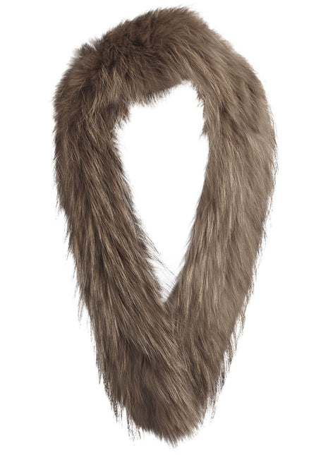 Klara Kragen | Waschbär