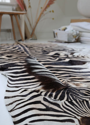 Zebrafell | Südafrika  Zebra