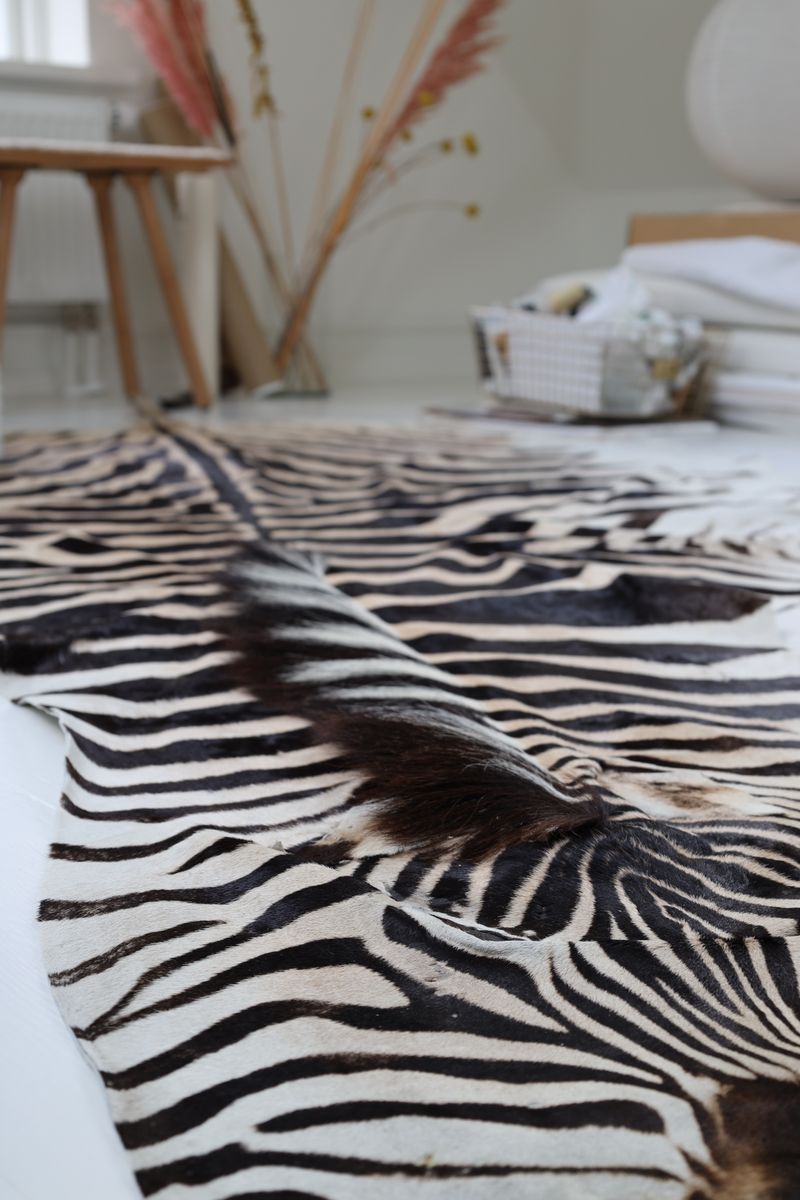 Zebrafell | Südafrika  Zebra
