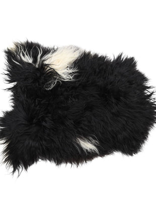 Lammfell Premium | Langhaar | Island | 90x60 cm Gefleckt (Schwarz mit weißen Flecken)