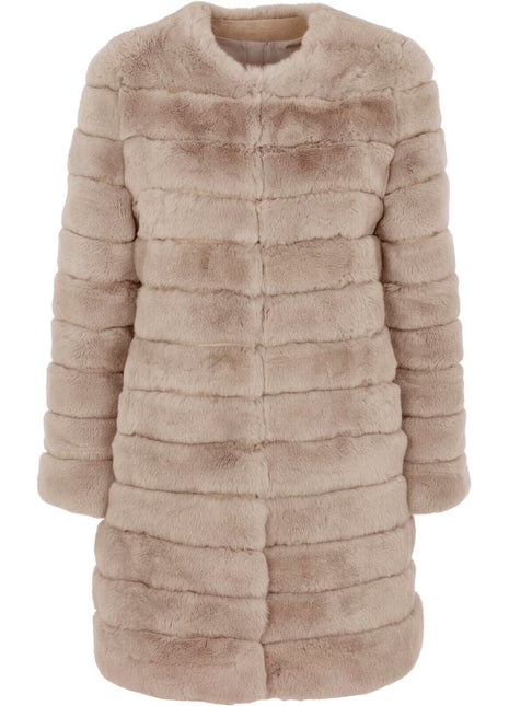 Claire Mantel | Rex Kaninchen