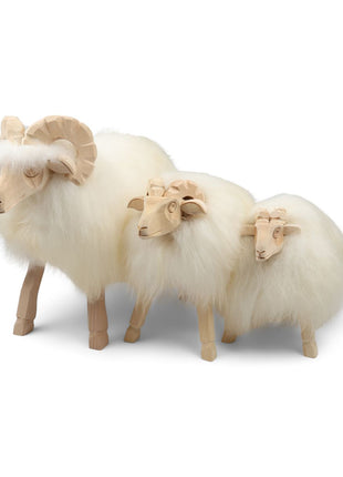 Alpinschaf Weißlich