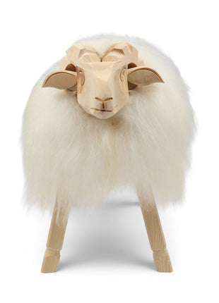 Alpinschaf Weißlich