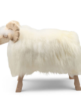 Alpinschaf Weißlich