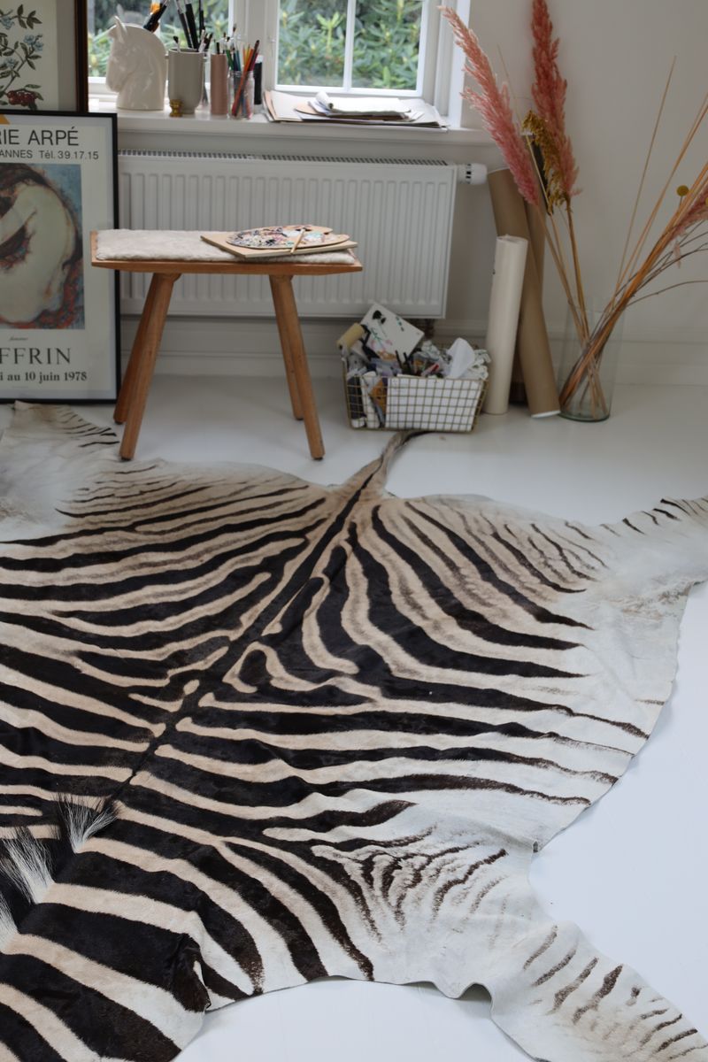 Zebrafell | Südafrika  Zebra