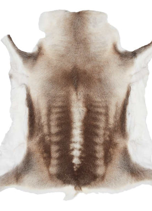 Rentierfell | Finnland | Hell (selten) | 70x110 cm