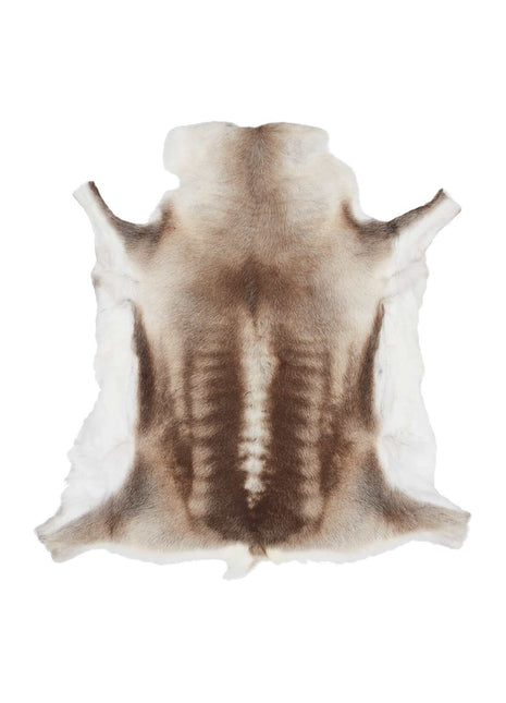 Rentierfell | Finnland | Hell (selten) | 70x110 cm