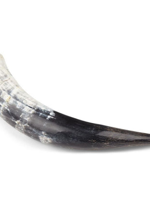 Kuhhorn | Südafrika | Poliert | +30 cm