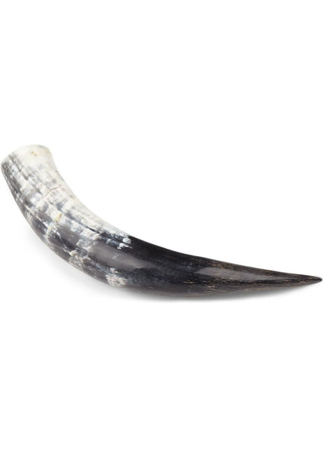 Kuhhorn | Südafrika | Poliert | +30 cm