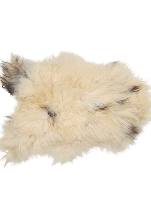 Lammfell Premium | Langhaar | Island | 90x60 cm Gefleckt (Weiß mit braunen Flecken)