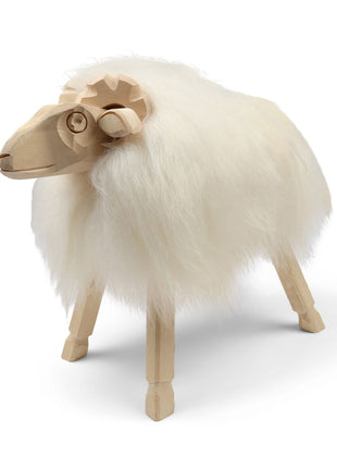 Alpinschaf Weißlich