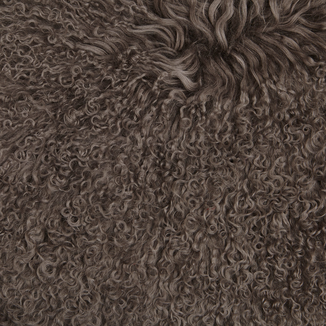 Tibet Lammfell in Taupe - Detailaufnahme der lockigen Wollstruktur in warmem Braunton - Premium Tibetlammfell