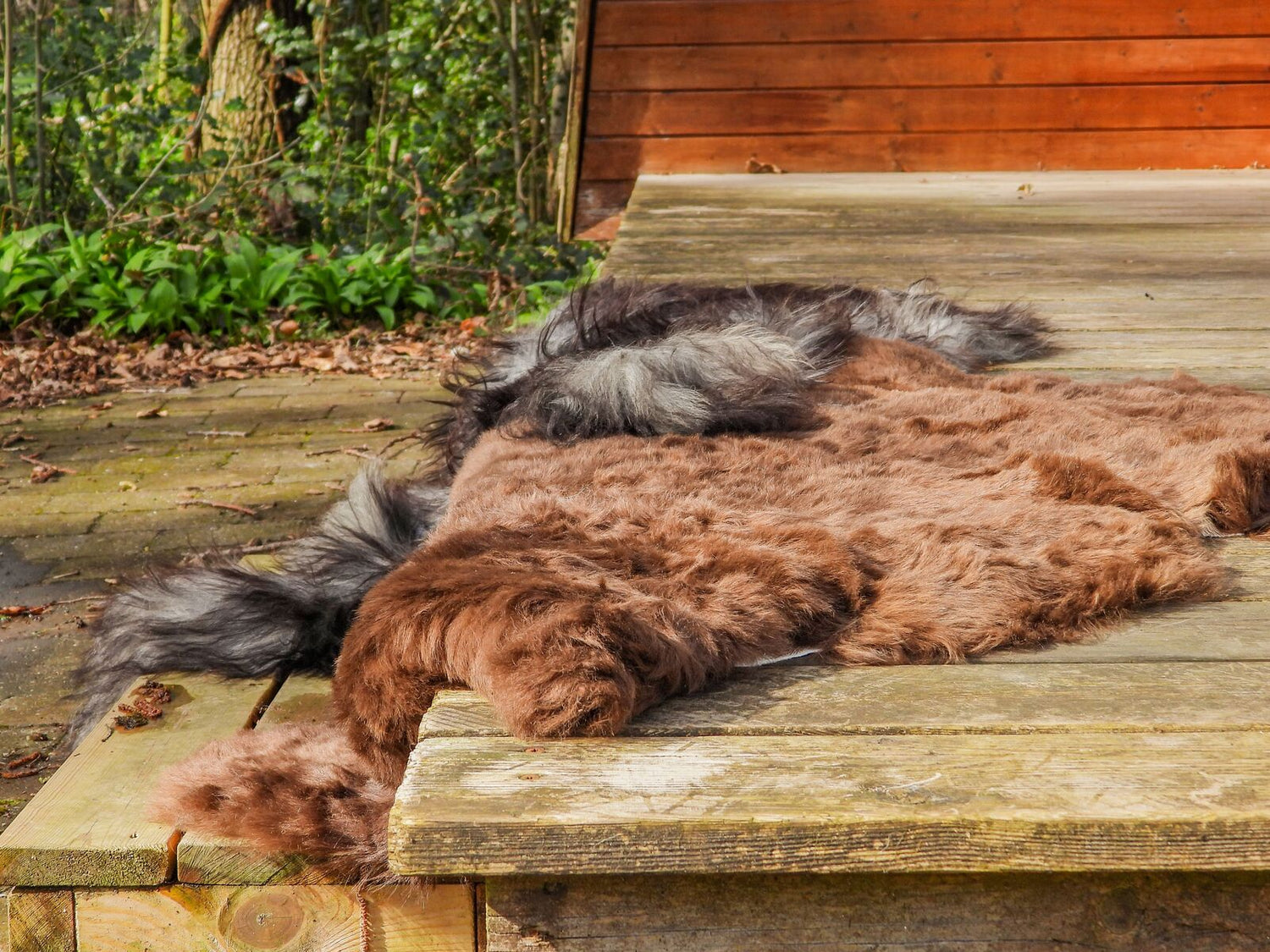 Zwei Schaffelle ein graues und ein rostbraunes liegen auf eine Holzterrasse